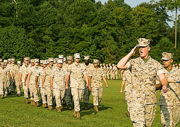 'Workhorse' of the MEF activated