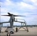 VMM-365 (Rein) works hard to stay mission ready