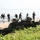 Philippine, US Marines sharpen Amphibious Operations during PHIBLEX 2015