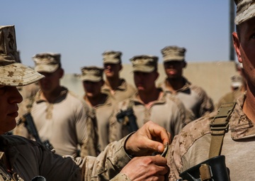 1/2 Promotions on Bastion-Leatherneck Complex