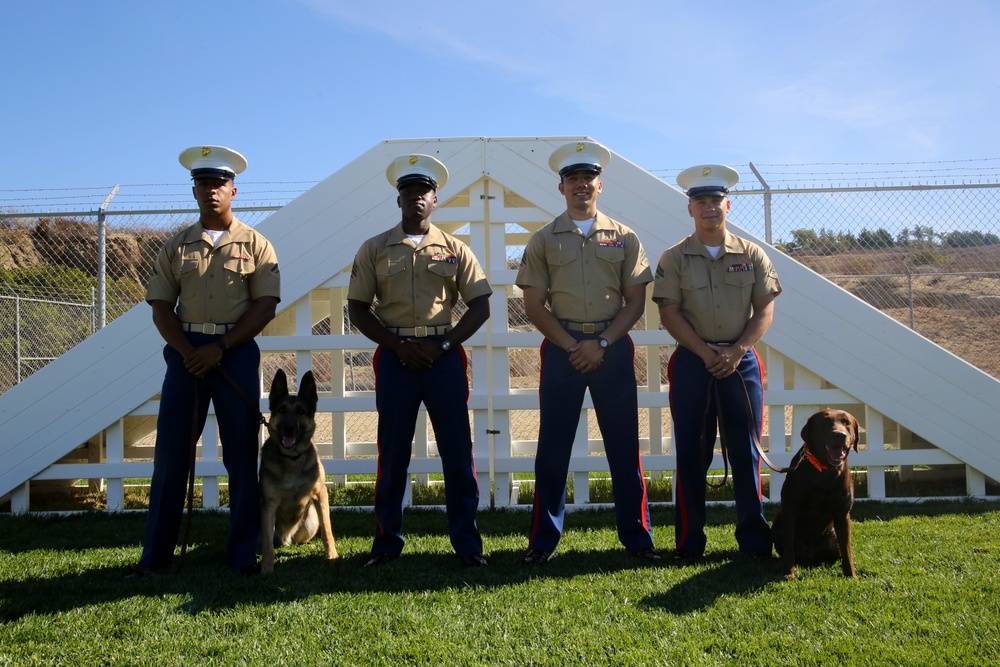 San Francisco Fleet Week 2014 Canine Demonstration