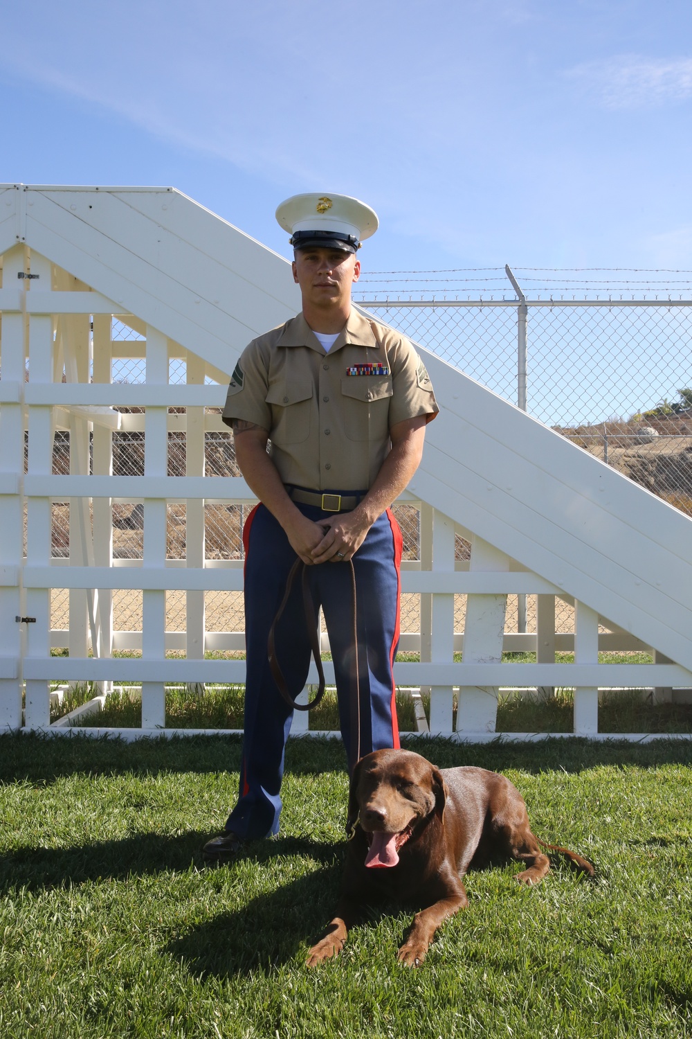 Dvids News San Francisco Fleet Week Presents Bark At The Park