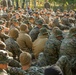 CLB-6 and 2/5 Marines receive cold weather classes at Mountain Warfare Training Center