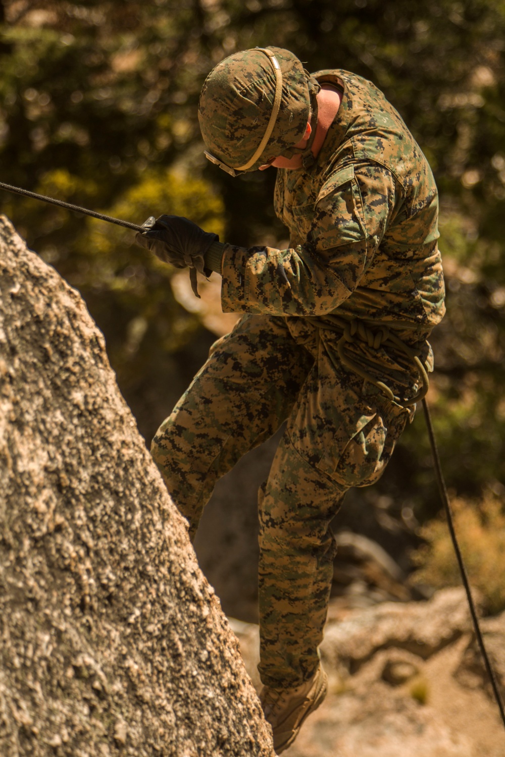 CLB-6 and 2/5 Marines conduct rappelling training at Mountain Warfare Training Center