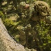 CLB-6 and 2/5 Marines conduct rappelling training at Mountain Warfare Training Center