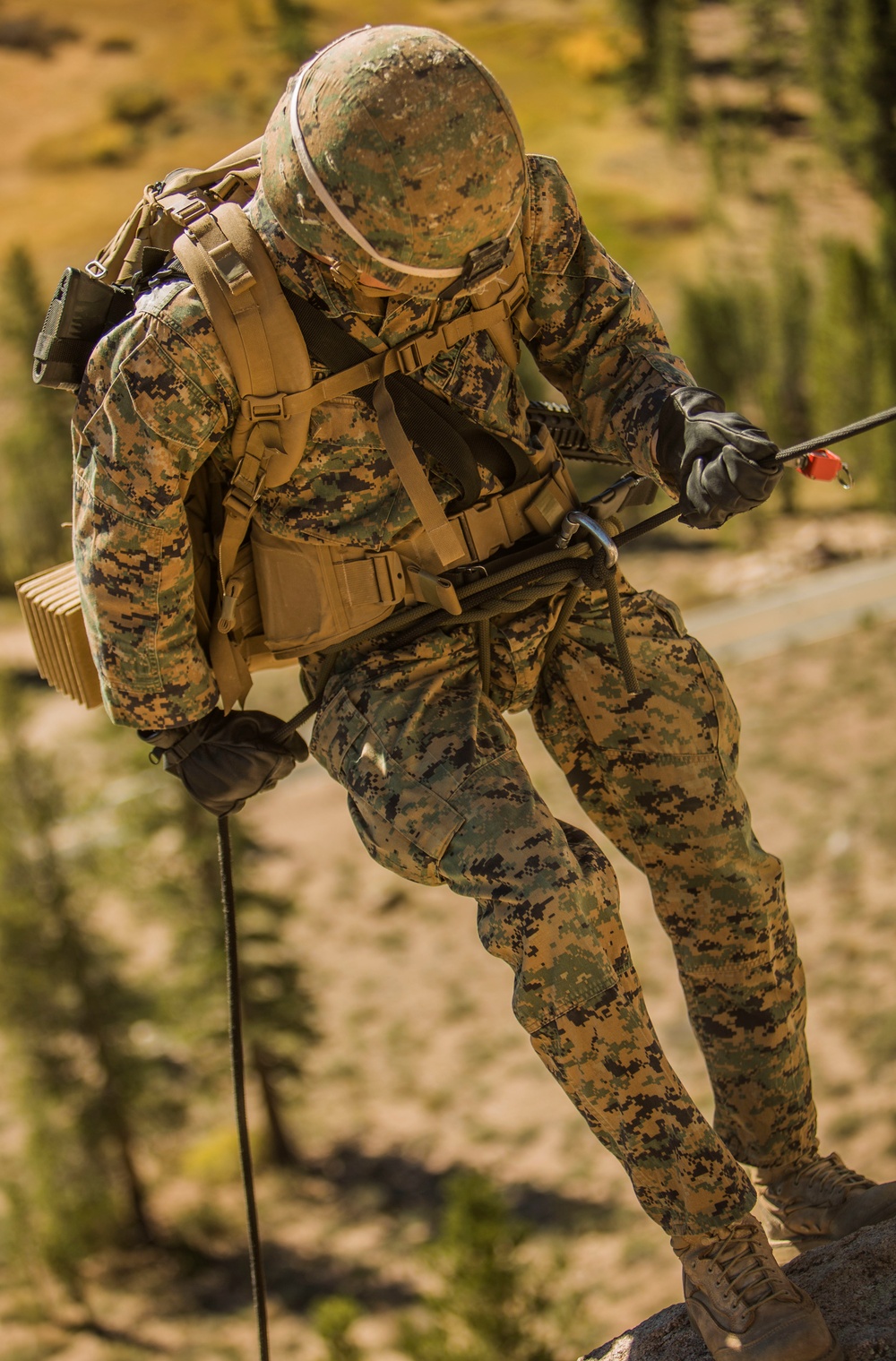 CLB-6 and 2/5 Marines conduct rappelling training at Mountain Warfare Training Center
