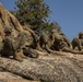 CLB-6 and 2/5 Marines conduct rappelling training at Mountain Warfare Training Center