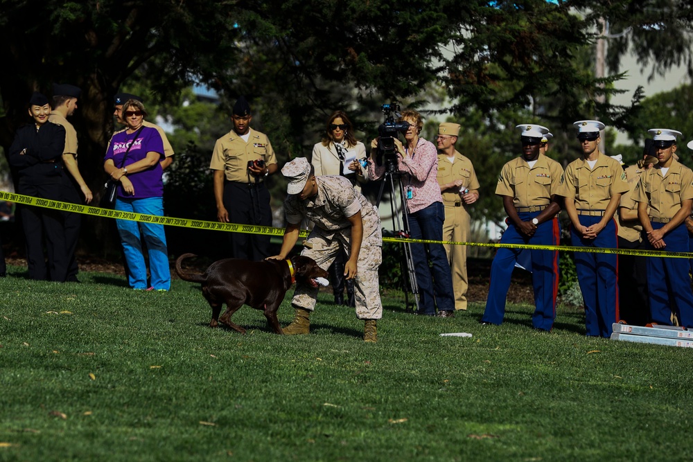 Bark in the park event shows humanitarian assistance disaster relief capabilities with k9s