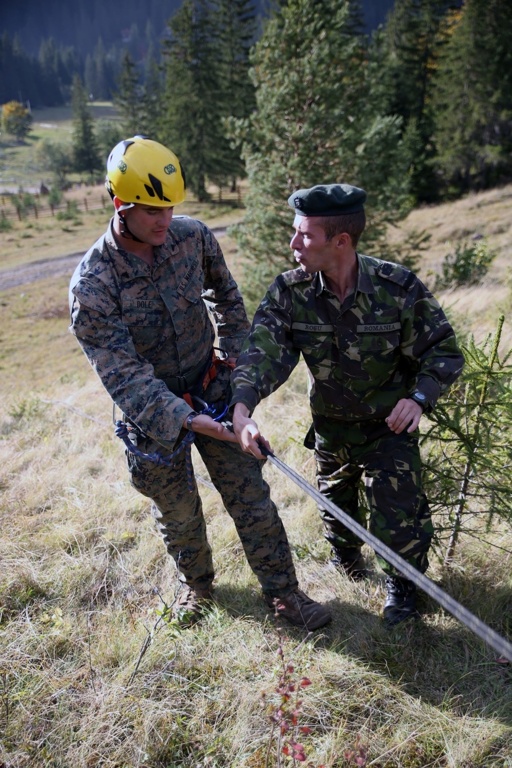 Marines, Romanian Land Forces conquer the mountains during Platinum Lynx 14.6