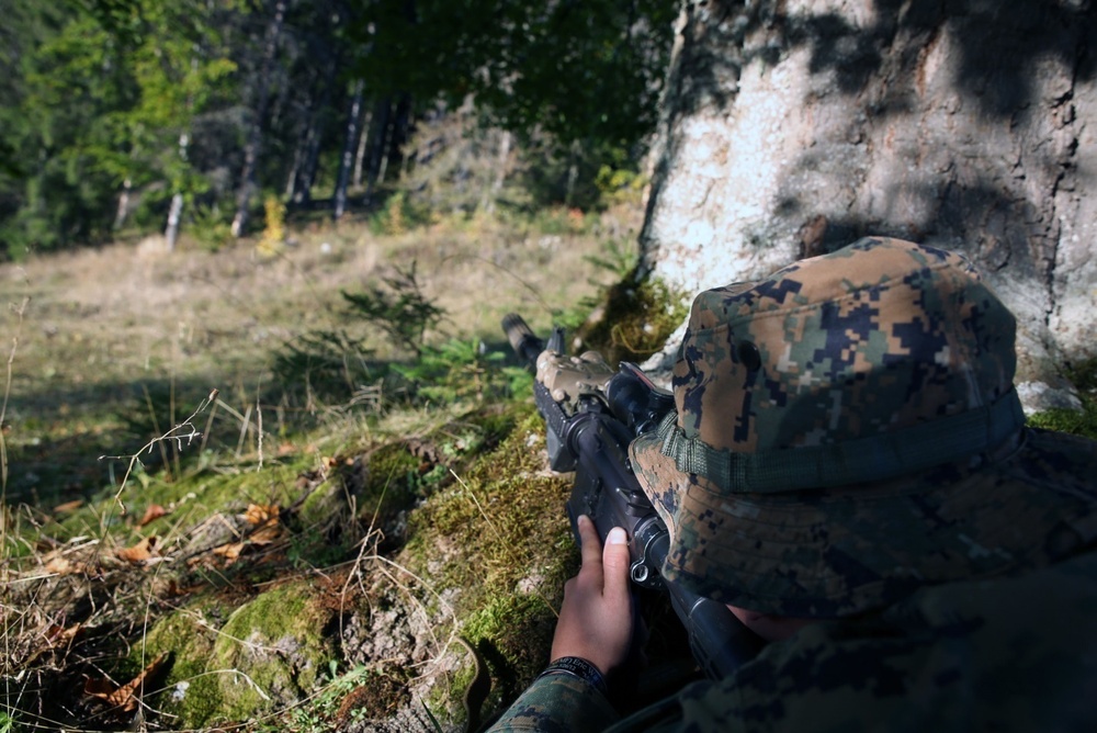 Marines, Romanian Land Forces conquer the mountains during Platinum Lynx 14.6