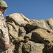 Brigadier General Charles G. Chiarotti visits CLB-6 Marines at Mountain Warfare Training Center