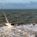 Sailboat on the rocks after Coast Guard rescues 2