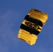 US Army Golden Knights