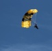 US Army Golden Knights