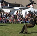 US Army Golden Knights