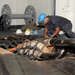 USS George H.W. Bush sailor at work
