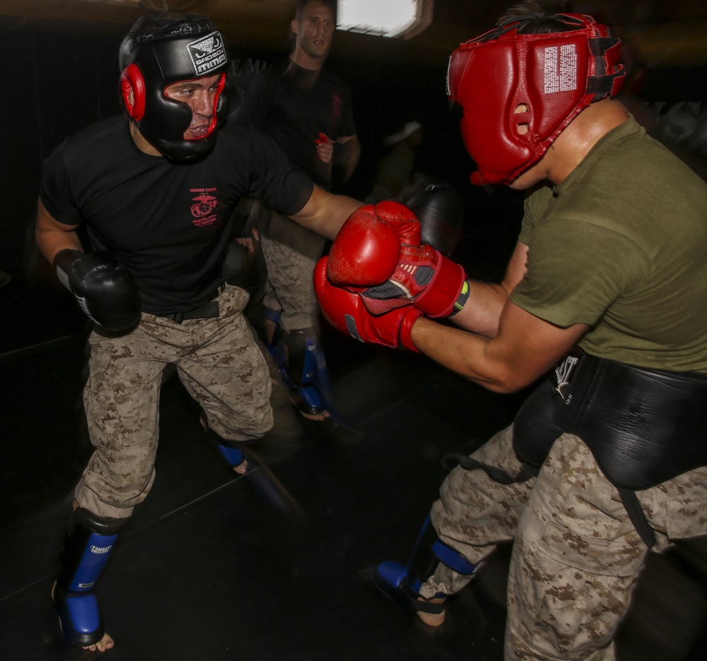 Warriors and Leaders: Marines endure martial arts crucible with 8th Communication Battalion