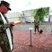 Military working dog blessing