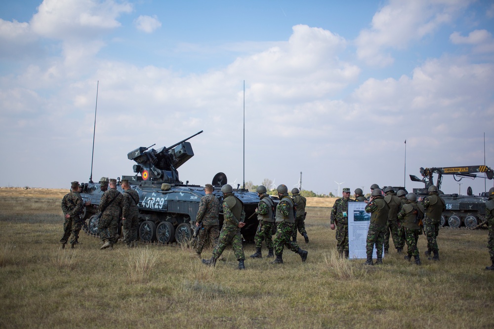 Black Sea Rotational Force 14.2A; Platinum Lynx 15.2