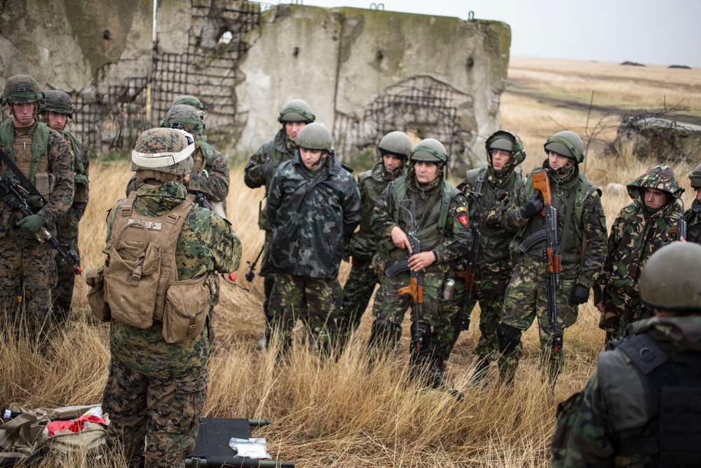 Black Sea Rotational Force 14.2A; Platinum Lynx 15.2