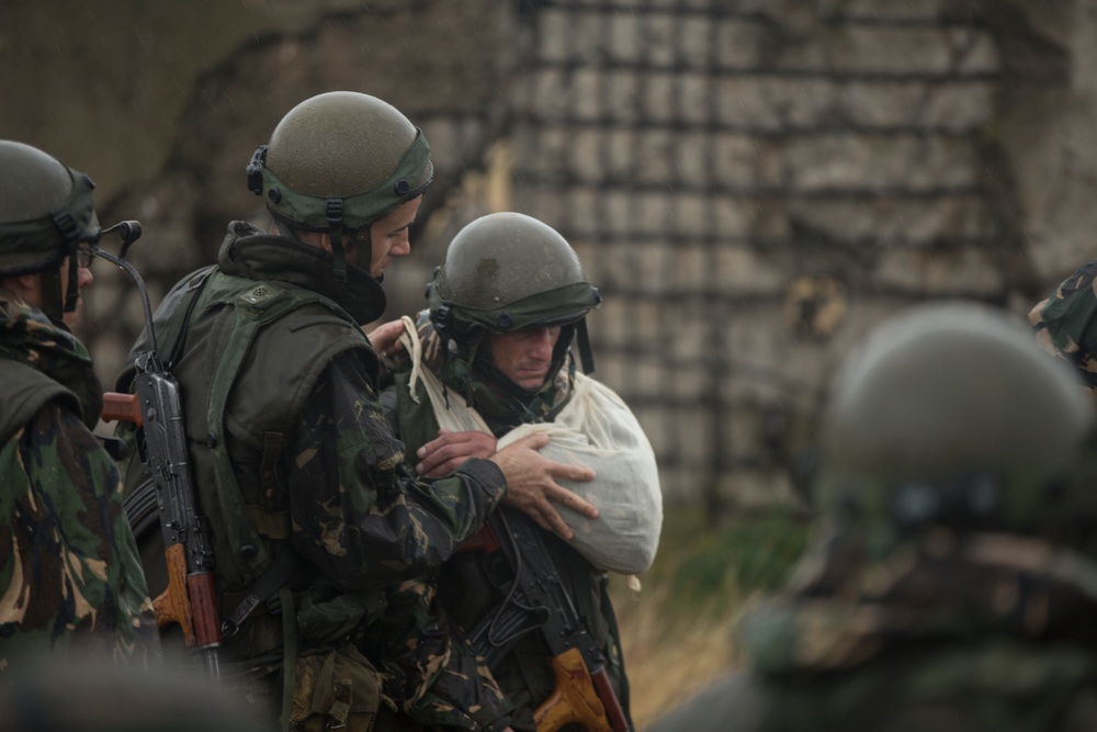 Black Sea Rotational Force 14.2A; Platinum Lynx 15.2