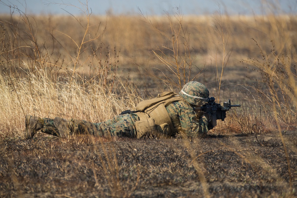 Black Sea Rotational Force 14.2A; Platinum Lynx 15.2