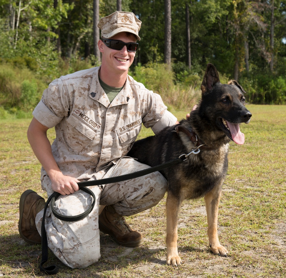 Unleashed: Military Working Dogs, handlers build relationship
