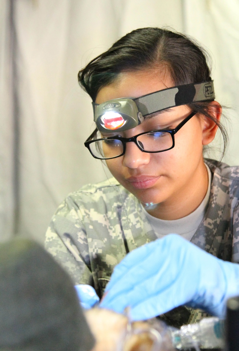 Army Veterinarians’ exercise offers free pet care