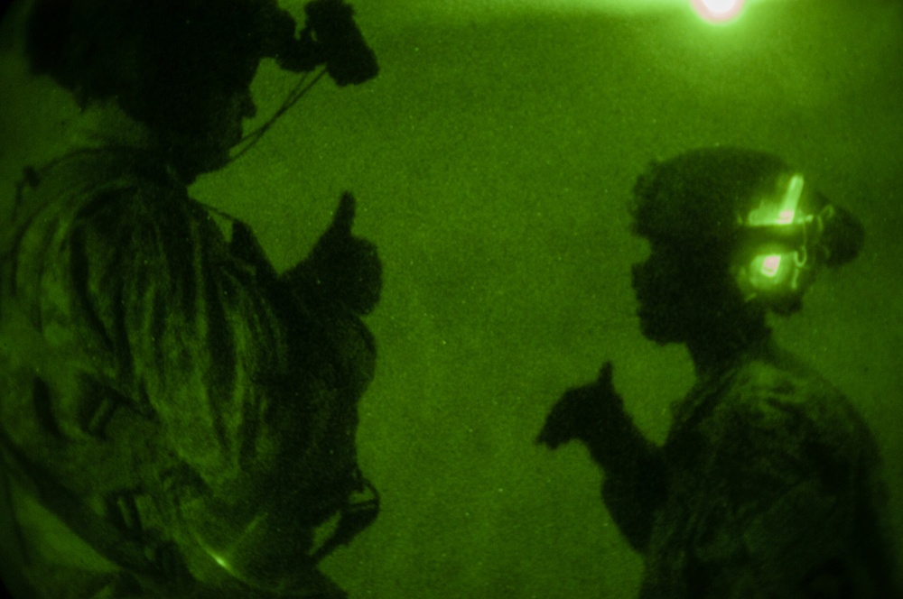 Shadow of the Eagle conducts joint forced entry