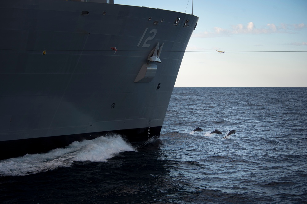 Dolphins swim alongside Arleigh Burke