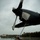 Polish, US air forces unite for Av-Det rotation