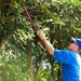 Veterans give Oakland Cemetery facelift