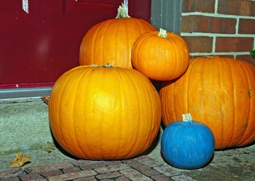 Teal Pumpkin Project