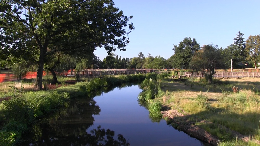 Environment, sense of community restored at Westmoreland Park