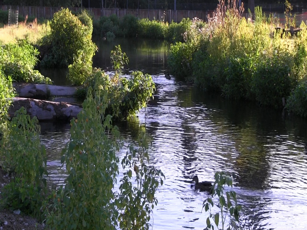 Westmoreland Park environmental restoration complete