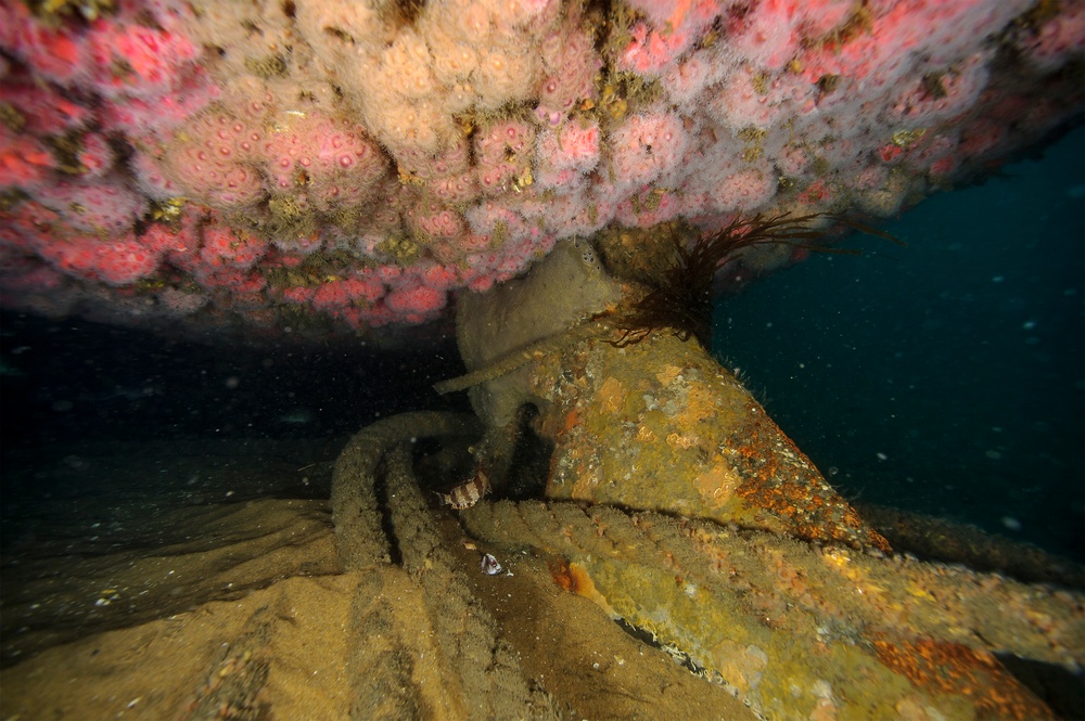 Wreck of the Ruby E.