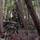 Lightning Academy's JOTC provides soldiers jungle training environment