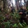 Lightning Academy's JOTC provides soldiers jungle training environment
