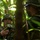 Lightning Academy's JOTC provides soldiers jungle training environment
