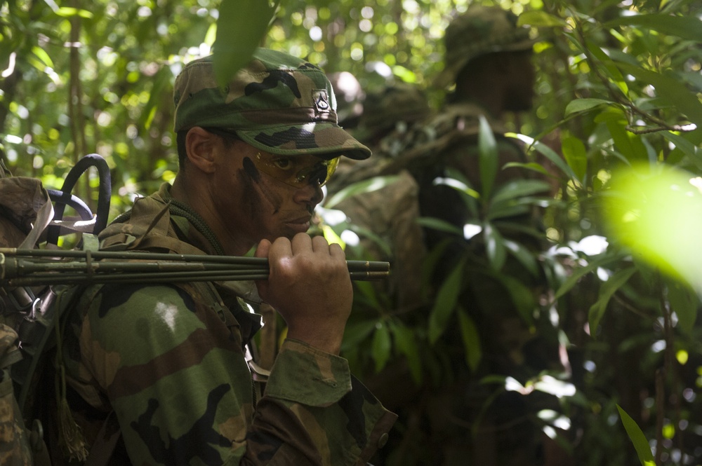 Lightning Academy's JOTC provides soldiers jungle training environment
