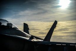 Vigilant Shield 15