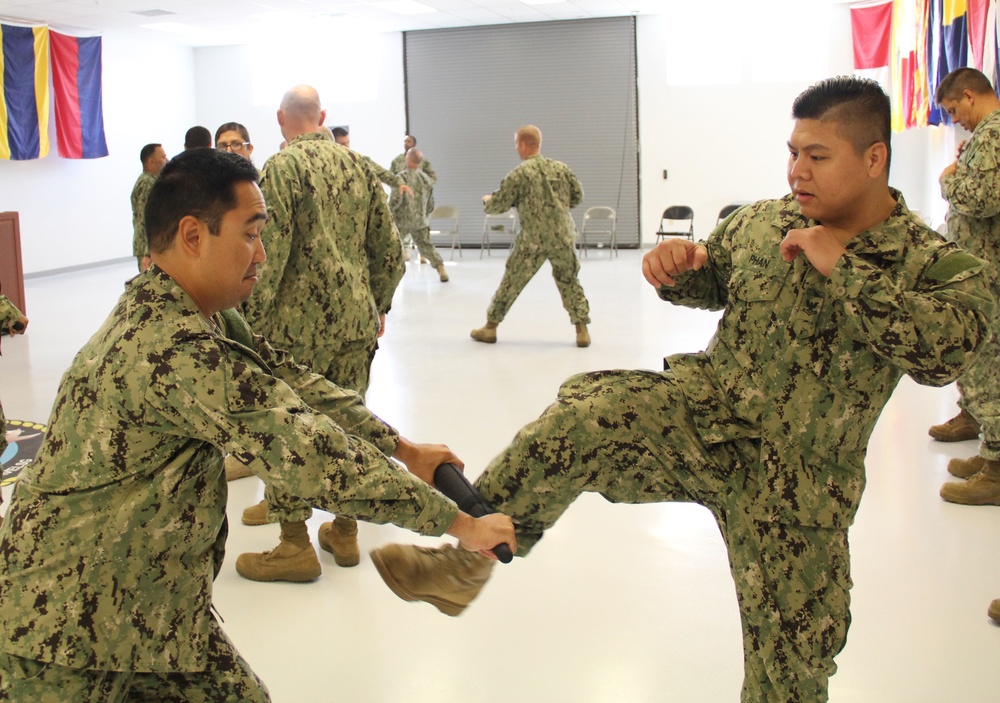 NAVELSG defensive tactics training