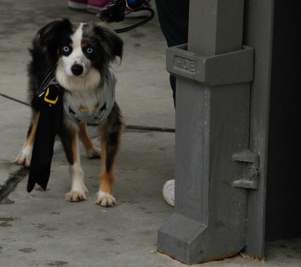 Costume fun at Trunk or Treat