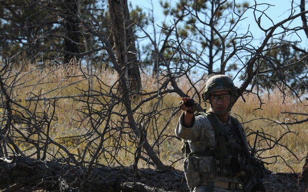 5th SFS dominates Guernsey