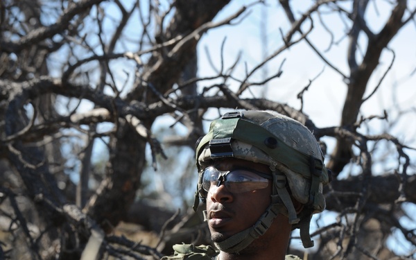 5th SFS dominates Guernsey