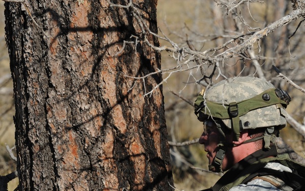 5th SFS dominates Guernsey