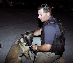 Military Working Dogs inspect Fantasy Fest floats