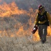 FTIG Prescribed Burn: Local Residents May Notice Smoke from the Installation