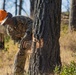 Marines conduct tree-felling operations