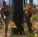 Marine conduct tree-felling operation
